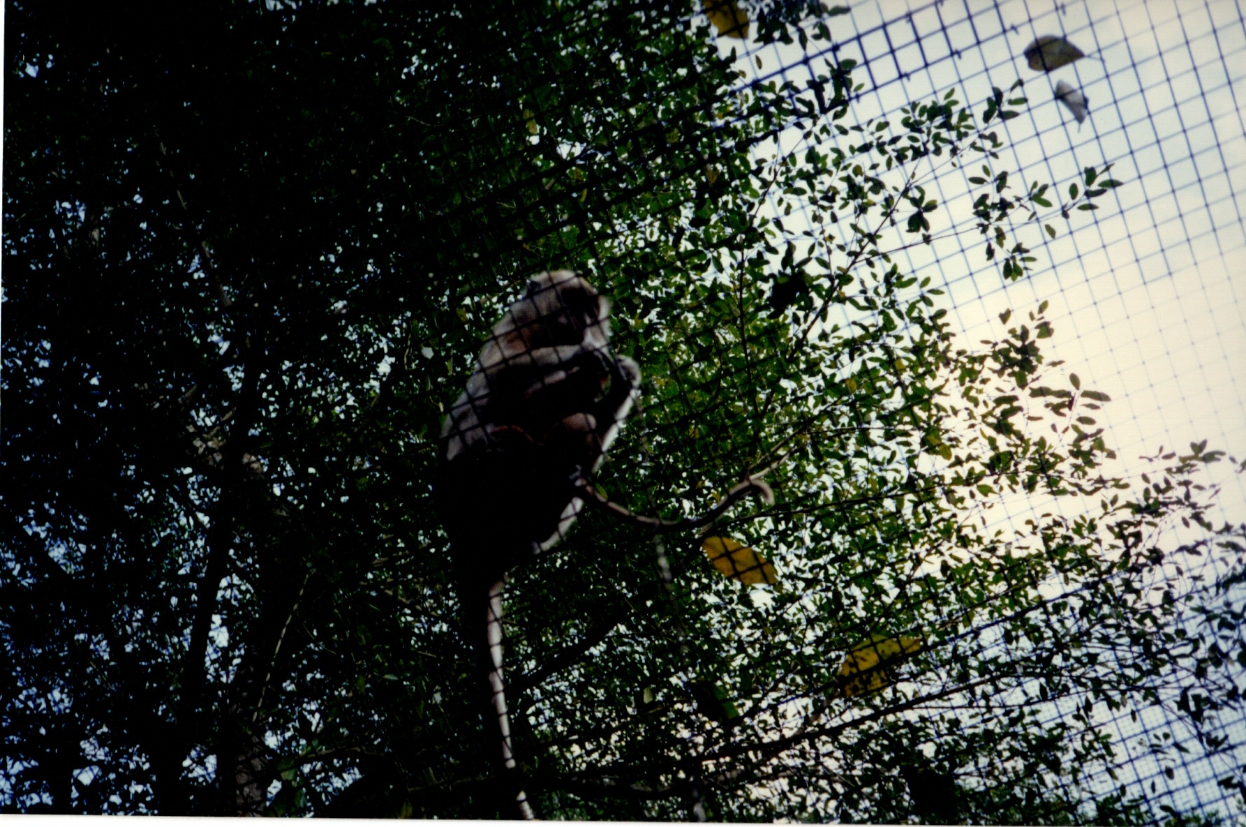 ./1997/11 - November/img05232020_298.jpg